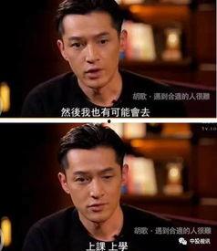 现在去娱乐圈吃瓜,揭秘明星幕后故事与幕后黑幕