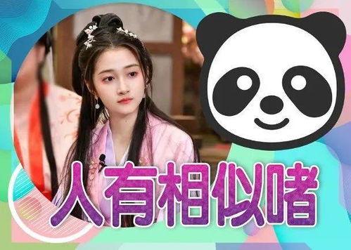 娱乐吃瓜酱单身基因,单身基因背后的秘密