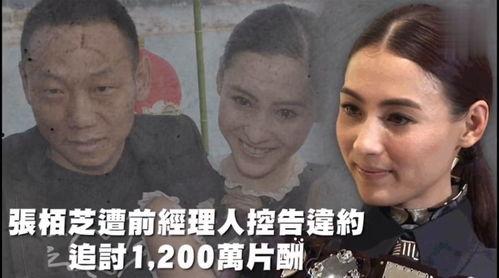 娱乐吃瓜作品,揭秘明星背后的秘密与八卦
