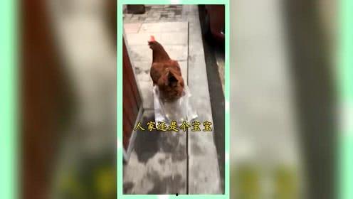 娱乐吃瓜群众歌曲,揭秘娱乐圈背后的“瓜”事