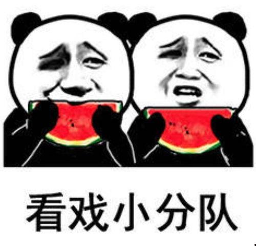 心声吃瓜娱乐圈沙雕动画,心声吃瓜，笑料横生