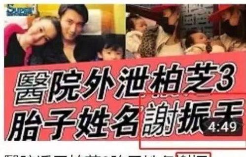 娱乐吃瓜名字怎么取的呀,揭秘“娱乐吃瓜”名字背后的趣味与智慧