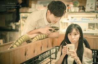 娱乐吃瓜君三个老婆小说,三妻四妾的豪门生活揭秘