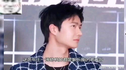 娱乐吃瓜酱19,揭秘娱乐圈背后的那些事儿