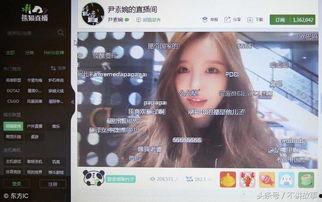 娱乐吃瓜最新事件直播回放,揭秘幕后真相，吃瓜群众齐围观